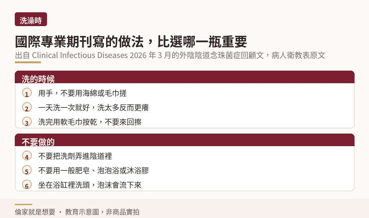 外陰清潔正確動作順序與應避免行為示意圖