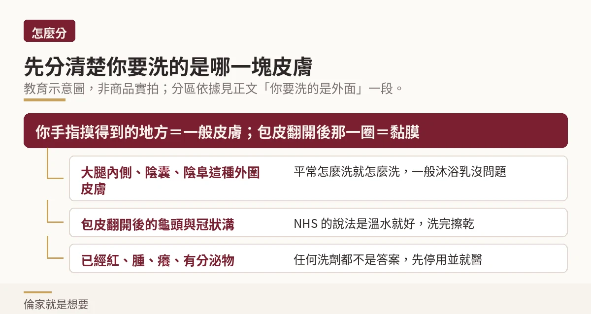 示意圖:把男性私密部位分成外圍皮膚、包皮內側與已有症狀三種狀況,各自對應不同做法